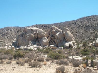 Ryan Mountain 1