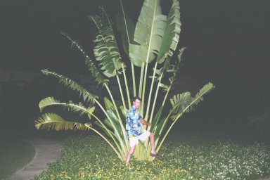 Pat, Flower; Flower, Pat
