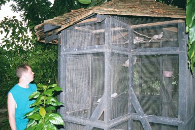 Why does the caged bird sing?