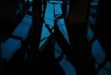 30/01/05 - Glass prison