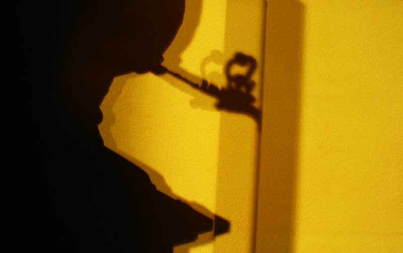 29/01/05 - Ombre chinoise