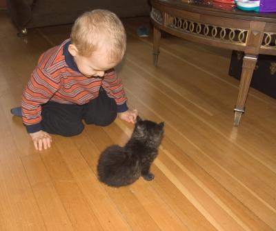 Miles with Kitten.jpg