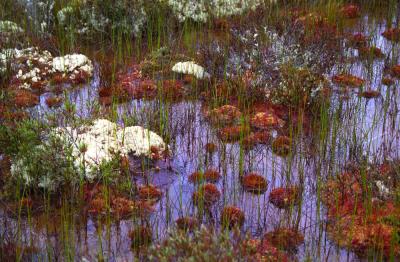 colorful wet mess
