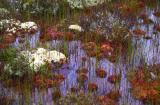 colorful wet mess