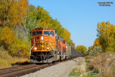 BNSF 8874 West At Messex, CO