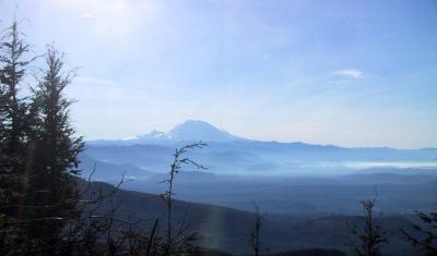 East Tiger panorama