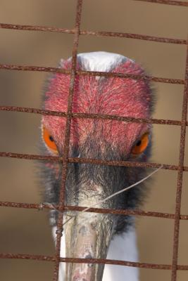 CRW_1094.jpg