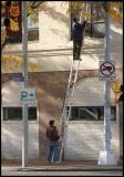 Ladder