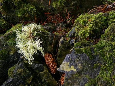 P1160026_1.JPG