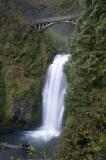 Multinomah Falls 5