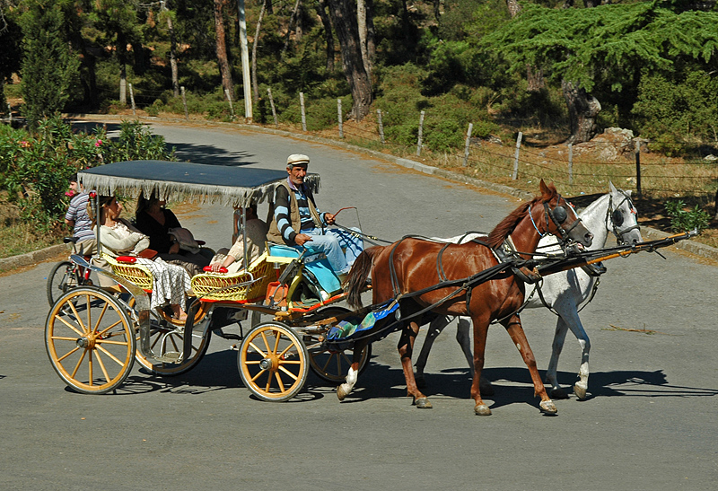 Bykada transportation (cars are prohibited on the island)