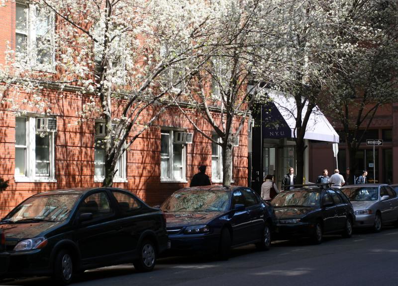 Pear Trees on Washington Place