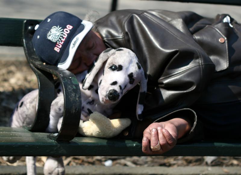 A Kind of Comfort