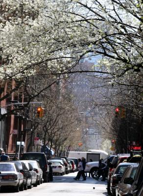 Looking South on Thompson Street