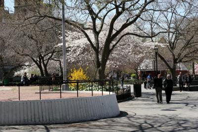 Springtime in Washington Square Park