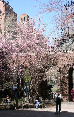 NYU Law School - Vanderbilt Hall Courtyard