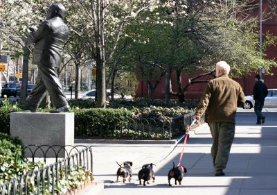 LaGuardia Place Gardens - Walking the Dachshounds