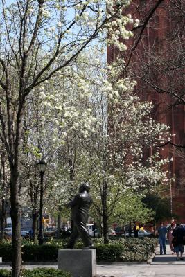 LaGuardia Place Garden