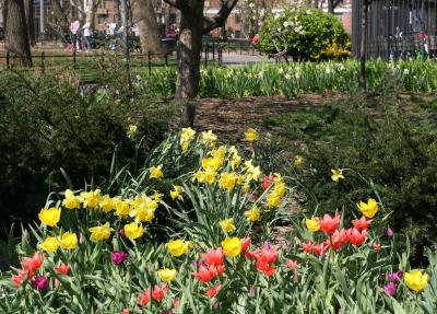 Washington Square Park