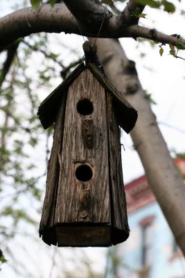 Birdhouse - LaGuardia Corner Community Garden