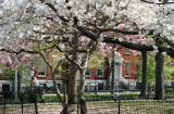Springtime