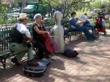 Park Performance