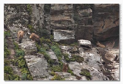 u17/hvr_oosterzele/medium/42361913.EOS1DMarkII_050401_vrijdag_110802_8771.jpg