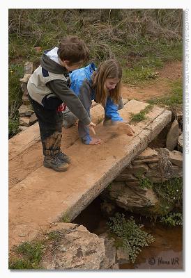 u17/hvr_oosterzele/medium/42361918.EOS1DMarkII_050401_vrijdag_133030_8916.jpg