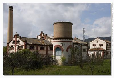 u17/hvr_oosterzele/medium/42381772.EOS1DMarkII_050403_zondag_123904_9056.jpg