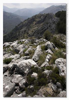 u17/hvr_oosterzele/medium/42381782.EOS1DMarkII_050404_maandag_153046_9147.jpg
