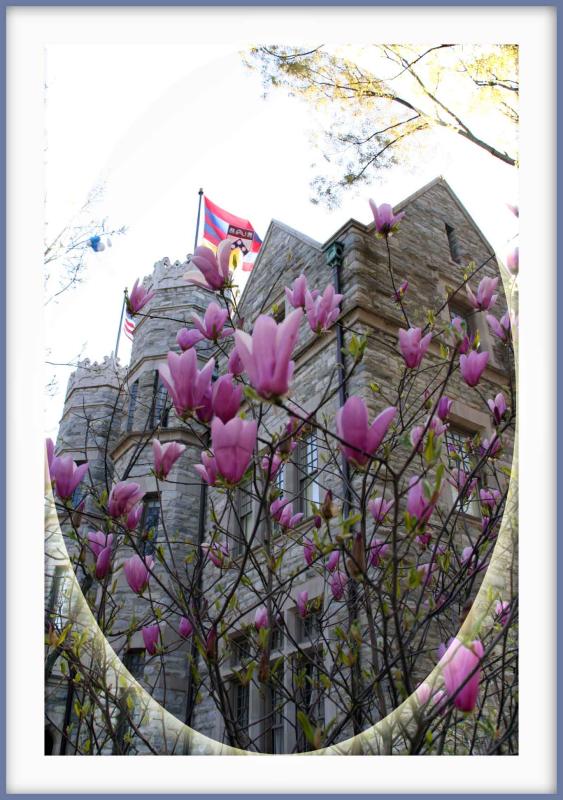 U of Penn