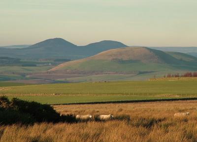 The Minto Hills and the Eildon Hills from Bonchester heights.jpg