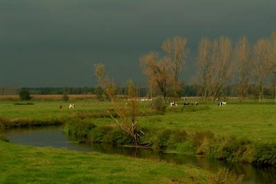 country-site-eersel