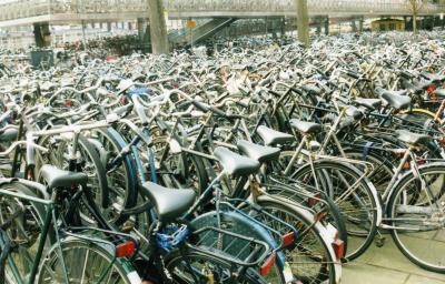 Central Station-More Bikes Than I've Ever Seen