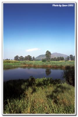 nam sang wai-004.jpg