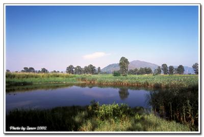 nam sang wai-005.jpg