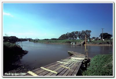 nam sang wai-002.jpg