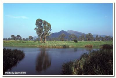 nam sang wai-008.jpg