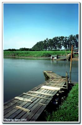 nam sang wai-011.jpg