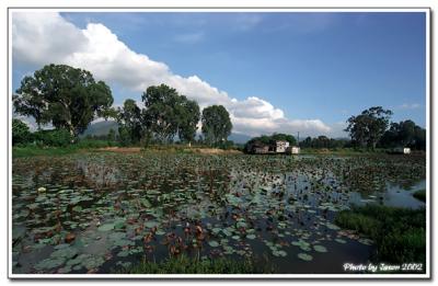 nam sang wai-012.jpg