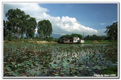 nam sang wai-013.jpg