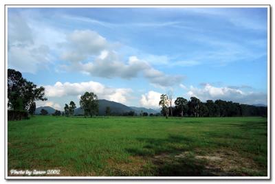nam sang wai-016.jpg