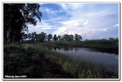 nam sang wai-022.jpg