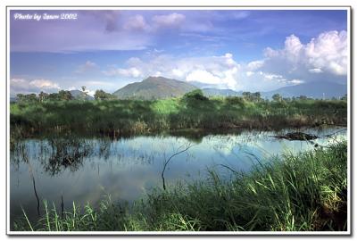 nam sang wai-023.jpg