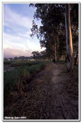 nam sang wai-026.jpg