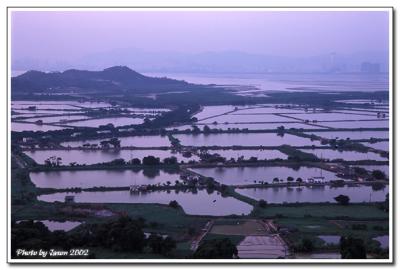 u17/jason_chan/medium/5583085.namsangwai027.jpg