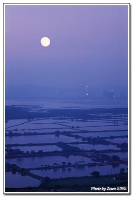 nam sang wai-029.jpg