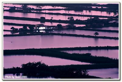 u17/jason_chan/medium/5583115.namsangwai032.jpg