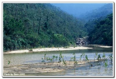 landscape-004.jpg