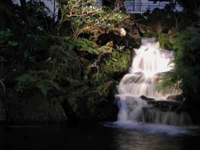 Hawaiian Village Waterfall
